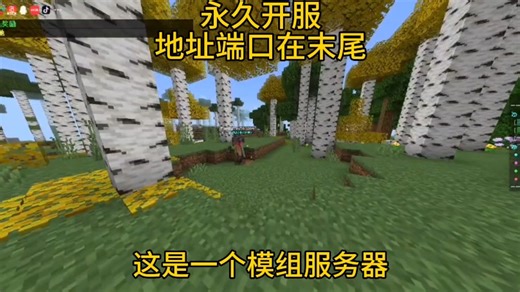 模组服务器推荐 必玩