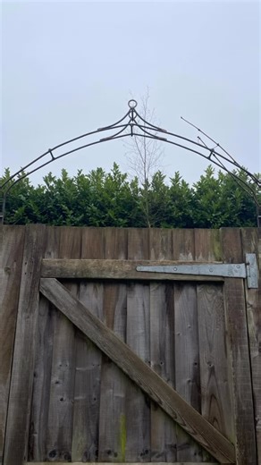 Rusty Raven Plant Supports on Instagram: "Happy New Year everyone! It’s winter and the weather is awful but now is a great time to plan for spring and summer. We’ve been busy in the workshop and this is one of the structures we’ve been working on. A custom made Garden Arch, made to fix to the existing posts and sit over the gate to support a young grape vine. Now is the right time to add structure to your garden ahead of new growth so grab a cuppa, take a stroll around your garden and let your i