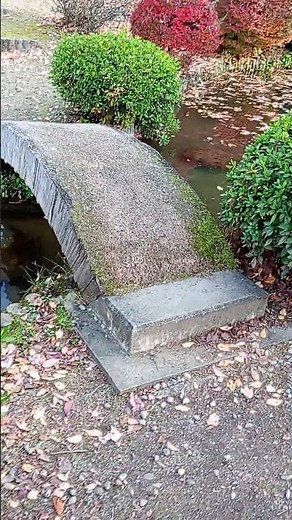 割り箸で作った橋を渡ってみた