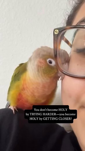 12 reactions | Come in closer to JESUS and watch what happens y’all! He’s coming for a Bride that’s HOLY! #jesús #jesus #jesuschrist #christian #christianity #godlyliving #spirituality #inspirational #love #godslove #faith #hope #holiness #getclosetojesus #allglorytogod | Pamela Leopard Malone | Facebook