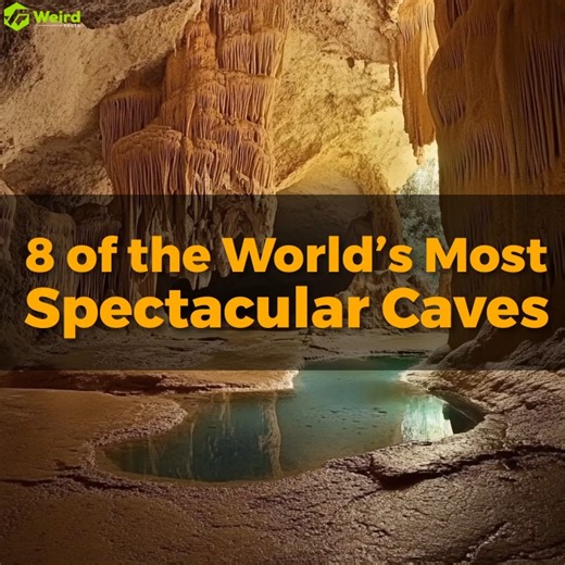 23K views · 282 reactions | 8 of the World's Most Spectacular Caves | Weird Facts | Facebook