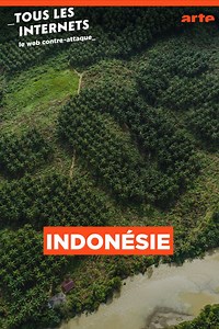 🌴 L'huile de palme nuit gravement aux forêts 🌴 | ARTE Info
