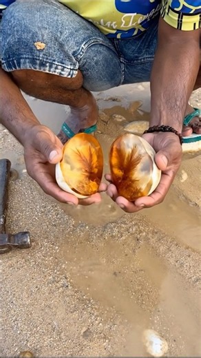 Stunning Natural Amber with Rare Plume Inclusions