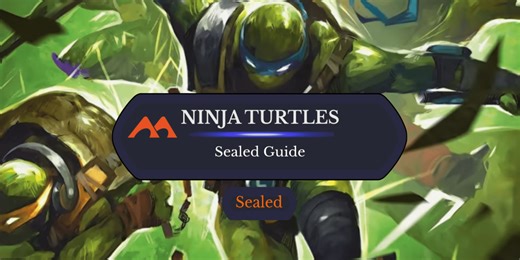 The Ultimate Guide to Teenage Mutant Ninja Turtles Sealed