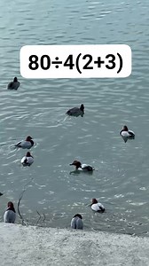 90% will Failed.. Math Test #MathematicsChallenge #basicmath #mathtest #mentalcalculation #learnwithankitabhatia | Learn with Ankita Bhatia