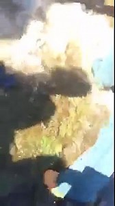 Fight In Detroit Hood