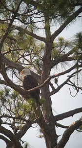 Daddy Dash- M15! | SAUNDERS PHOTOGRAPHY