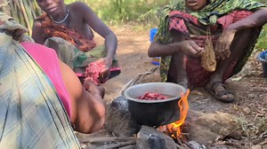 Hadzabe tribe Woman Cooking