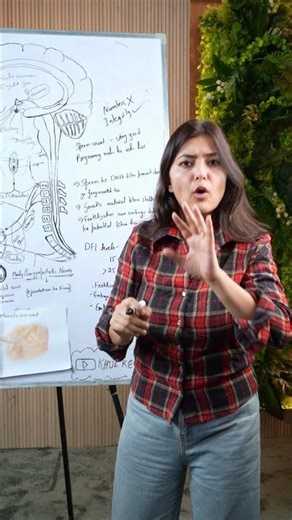 What Is DNA Fragmentation Test in Sperm?