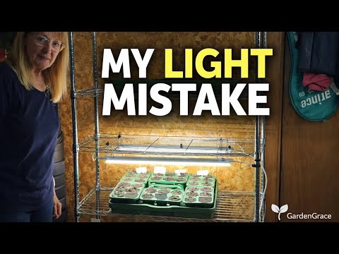 I Thought My Grow Lights Were Fine… Until This