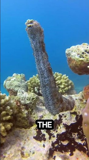 You’ll Regret Watching These 4 Terrifying Insects 😱 #TerrifyingInsects #ScaryBugs