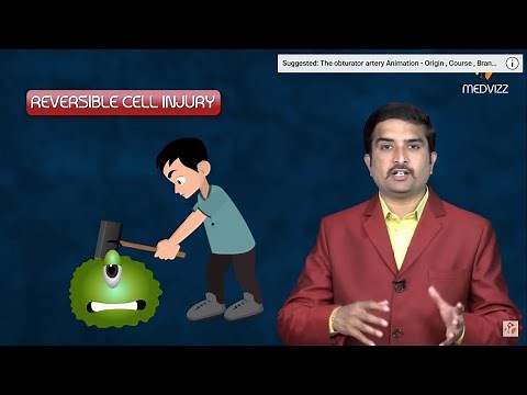 Reversible cell injury - General Pathology Animated USMLE Lecture - Dr Bhanu prakash