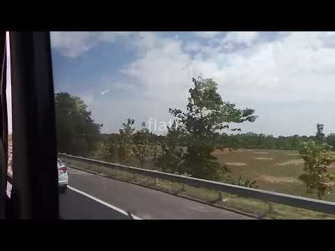 TOP Lagu TRI SUAKA – Playlist Enak Didengar Sepanjang Hari