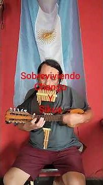 sobreviviendo charango y zampoña