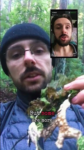 DAY 8: INCREDIBLE LICHEN!