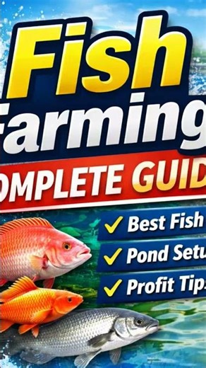 Fish Farming Complete Guide Full Video in channel. #fishaquarium #aquarium #fishfarming #fishtank