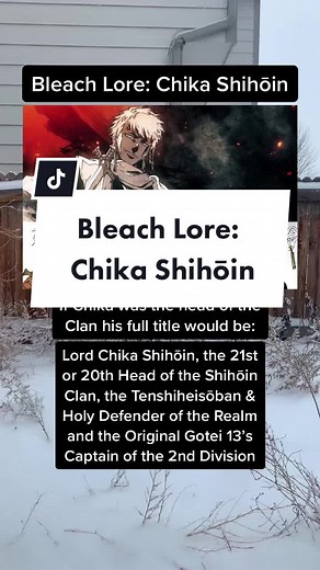 Chika Shihōin | The Original Captain of Squad 2 and ancestor of Yoruichi and Yushiro Shihoin #bleachanime #bleach #ichigo #kukakushiba #yoruichishihōin #Yoruichi #byakuyakuchiki #byakuya #rukia #bankai #lore #animelore #weeb #anime #manga