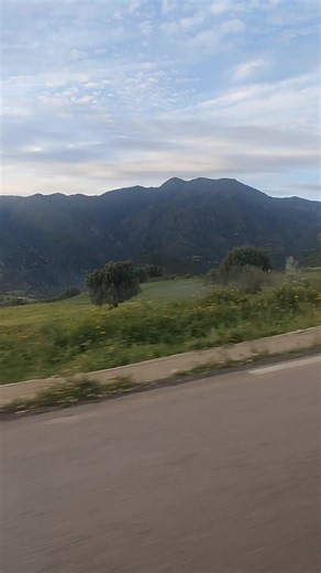 جولة بمنطقة تمزڨيدة ولاية المدية . أجواء ربيعية و إخضرار جميل ☘️🌲🌻🌼 ما شاء اللّه تبارك اللّه . من تصويري : Mohamed Météo Algérie | Météo Médéa طقس المدية