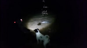 🔥 TUTORIAL COMPLETO: Cómo Pescar Lubinas a Surfcasting 🔥 🐋En este vídeo te explico paso a paso cómo pescar lubinas desde playa con técnicas reales y probadas en la orilla. Verás desde la elección del escenario hasta el montaje ideal, el uso de cebos como el choco, la catalana o la galera, y sobre todo, cómo adaptar tu acción de pesca a las condiciones del mar y el comportamiento de esta especie tan deseada.🐋 ✅ Cómo elegir la mejor playa según la temporada ✅ Qué cebos funcionan mejor en prima