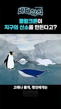 🌍지구 산소의 절반, 플랑크톤이 만든다?!🪼