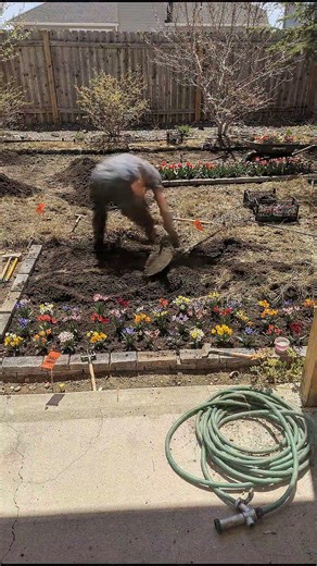 Dead Lawn Becomes Stunning Flower Paradise! Garden Transformation
