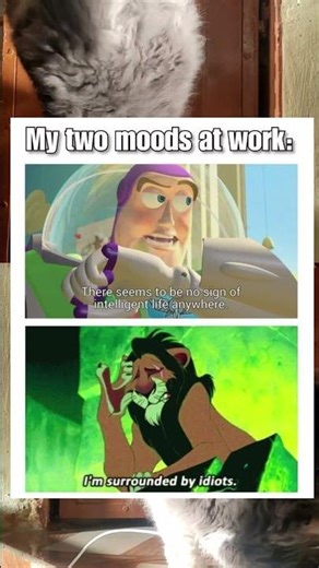 My Two Moods at Work 💀💼#funny #funnyshorts #funnymemes