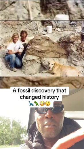 Follow (us) 🤍 to learn something NEW every single day 💫 SUE the T. rex is one of the most famous dinosaur fossils ever discovered. Unearthed in South Dakota in 1990 by fossil hunter Sue Hendrickson, the specimen is roughly 67 million years old and is one of the largest, most complete and best-preserved Tyrannosaurus rex skeletons ever found, with about 90% of the skeleton recovered by bone volume. After a complicated ownership battle, SUE was sold at Sotheby's in 1997 for $8.36 million, an unp