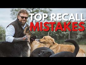 Recall Training Mistakes That RUIN Your Dog’s Progress