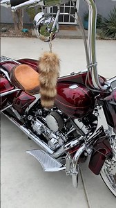 Mike’s Mobile Detailing 🇺🇸 DirtBag Road King detailed & ceramic coated #motorcycle