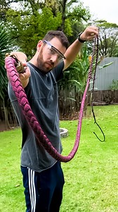 1.9M views · 10K reactions | Impressive power of this buffalo training whip 怜 | I am Barone | Facebook