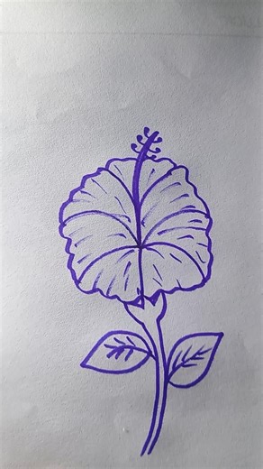 How To Draw A Beautiful Javaful #shorts #Javaful #drawing #easydrawing