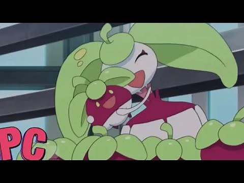 Steenee Best Pokemon Moments
