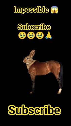 subscribe 🥹🥹🙏