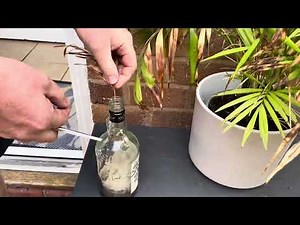 DIY Ecosystem in a Bottle! 🧪 Sealed Aquatic Life Experiment