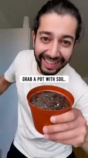 How to Grow Raspberries | creative explained