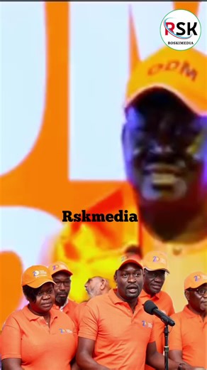 Understanding Olive Branch Gesture in Conflict Resolution