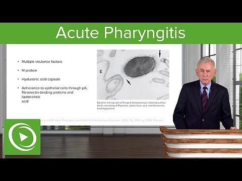 Acute Pharyngitis: Definition & Epidemiology – Infectious Diseases | Lecturio