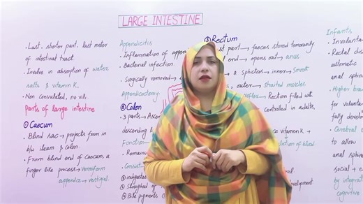 In this video, we explain the large intestine in detail, covering its structure, parts, and functions as part of the human digestive system. You’ll learn about the cecum, colon, rectum, and the important role of the large intestine in water absorption, electrolyte balance, and feces formation. This lecture is ideal for Class 11 / First Year Biology students, medical entrance preparation, and anyone studying human anatomy and physiology. Clear explanations, exam-oriented points, and easy concepts