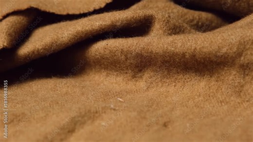 A moth butterfly moving around. Damaged fabrics with moth larvae cocoons and holes — pest infestation, textile damage, household pests, insect control. Moth hiding in clothes on the move.