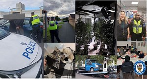 'Rescuing a baby from a car and a taking in a dumped kitten' as part of 'busy week' for Wolverhampton police team