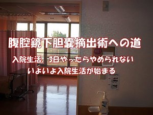 腹腔鏡下胆嚢摘出術への道#1 エコー検査 胆石 入院生活 名医