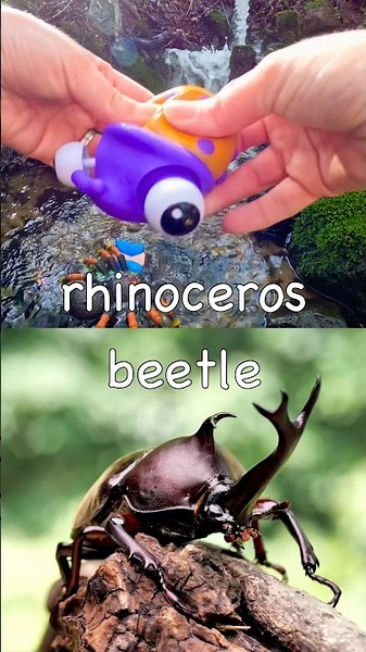 Bug Insect Names for Kids to Learn at the Waterfall: Spider Caterpillar Praying Mantis Snail