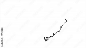 South Carolina map animated video. State outline drawing animation on white background in video format.
