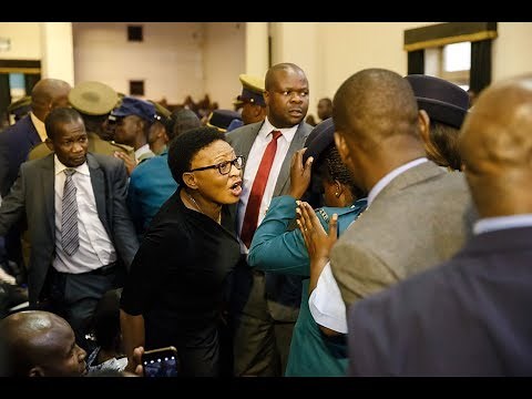 Zimbabwe MPs removed from parliament after refusing to stand when president entered - video
