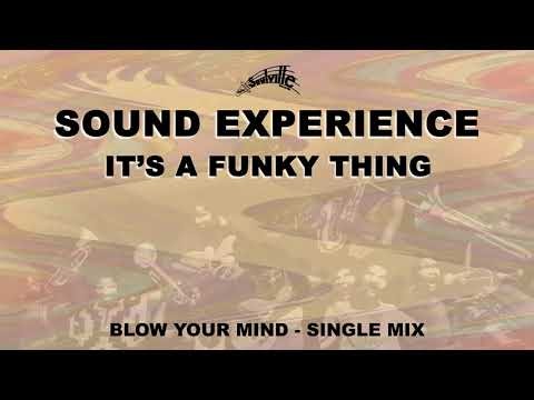 Sound Experience - 40 Acres and a Mule (Official Visualizer)