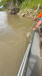 Late spring bank poles on the Missouri river!😎 #catfishing #missouririver #fbreelsfypシ゚viralfbreelsfypシ゚viral #fblifestylechallenge #outdoors #flatheadcatfish #fishing #teamwork #fishingvideos | Corey & Steph