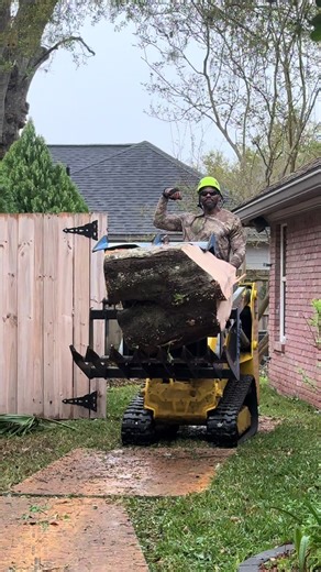 Expert Tree Removal Services You Can Trust
