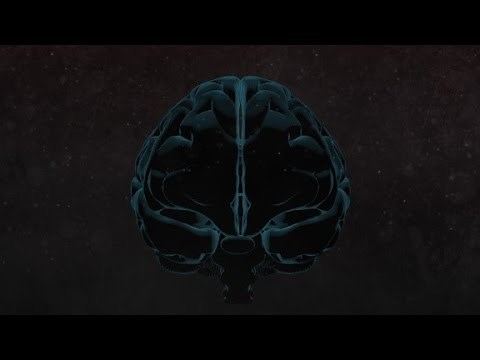 A peek inside a murderer's brain