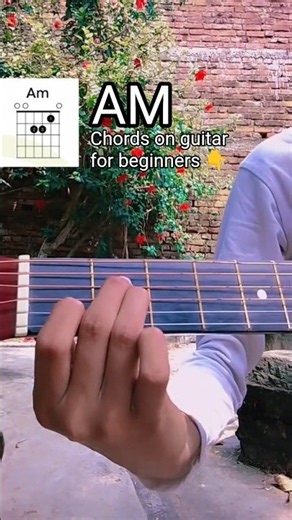 🎸 Am Chord Made Easy! | How to Play A Minor Chord on Guitar for Beginners #shorts #guitarlesson