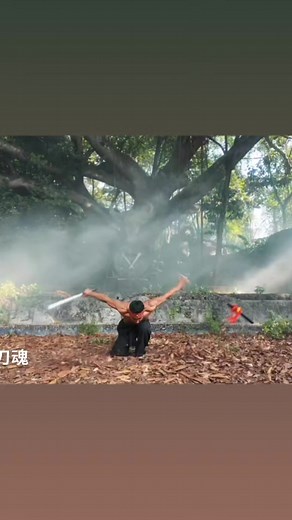 29K views · 503 reactions | Kung fu | KungFu Martial Arts | Facebook